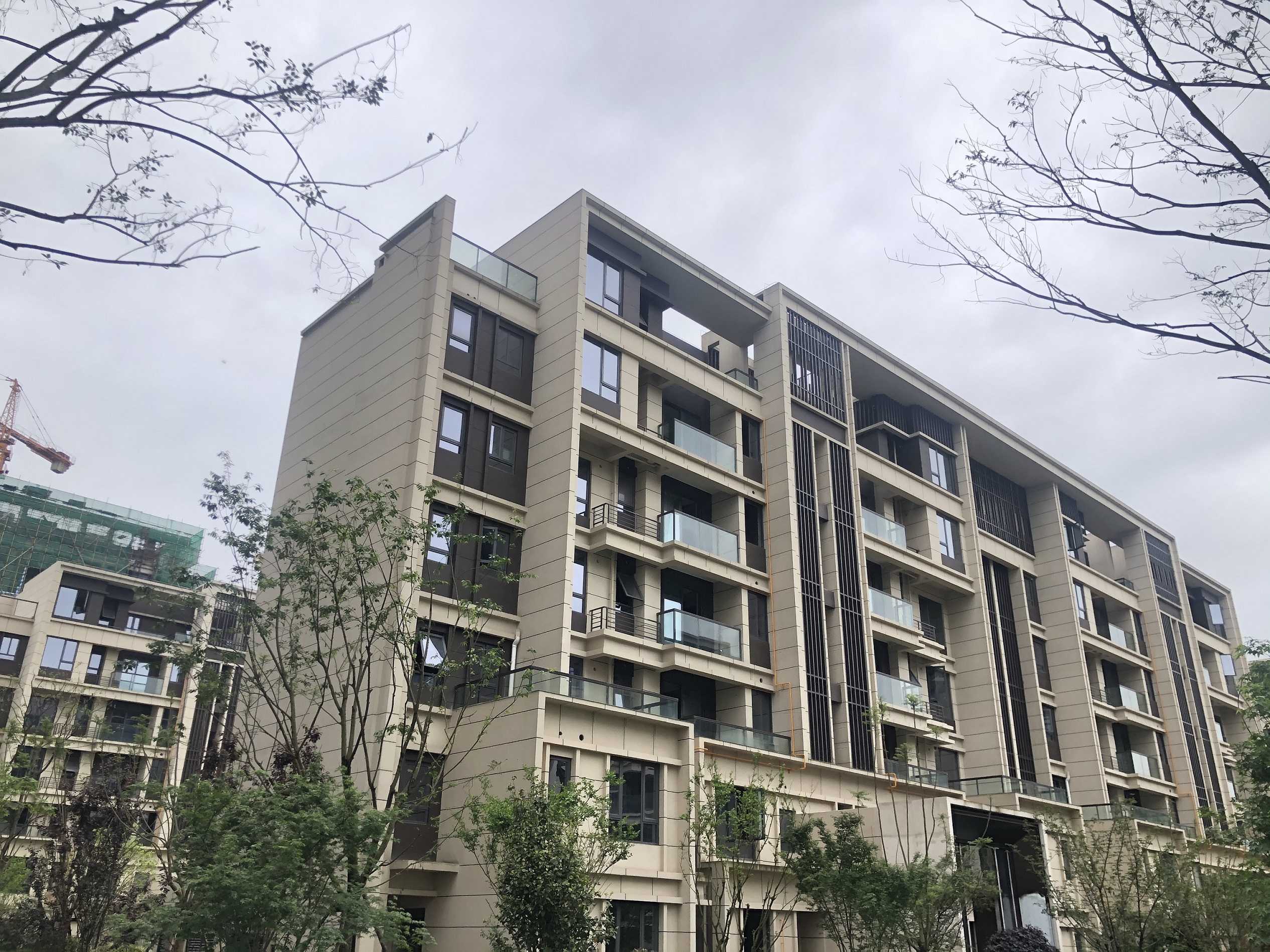 花样年·大溪谷6期